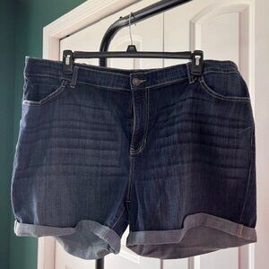 Simply Vera  Verawang Denim Sz 24 Shorts